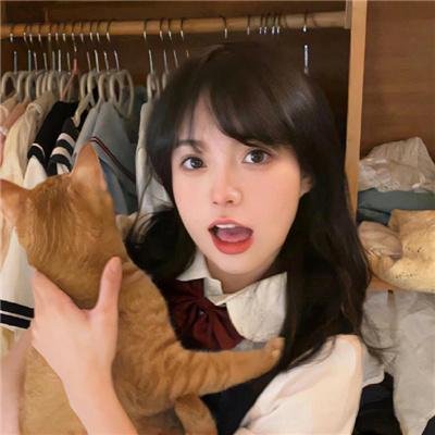 极品家丁